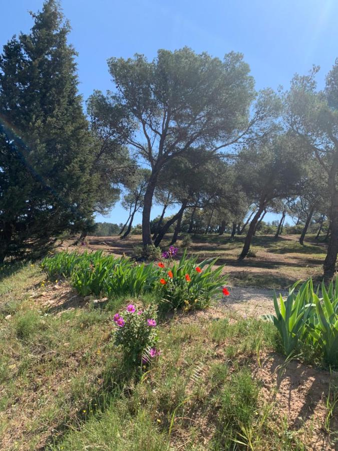 Un Soir Sous Les Etoiles Bed & Breakfast Chateauneuf-de-Gadagne ภายนอก รูปภาพ